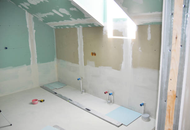 Best Mold Remediation for Healthcare Facilities  in Dunlap, IA