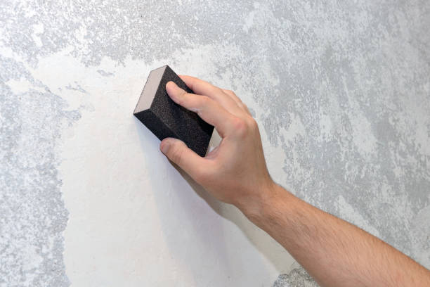 Mold Odor Removal Services in Dunlap, IA