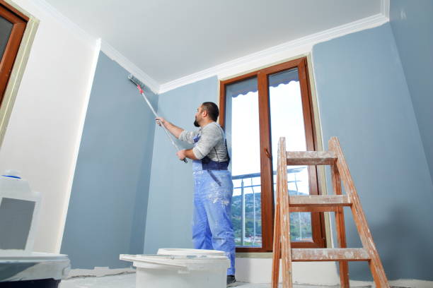 Best Attic Mold Removal  in Dunlap, IA