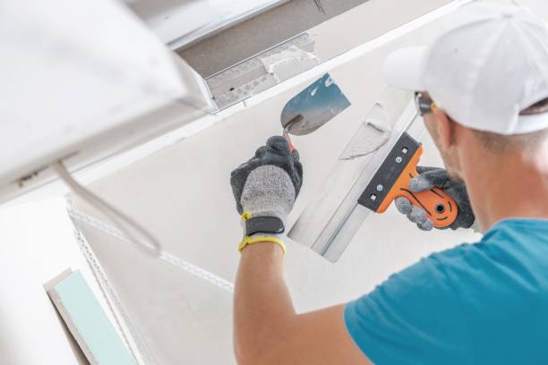 Best Forensic Mold Investigation  in Dunlap, IA